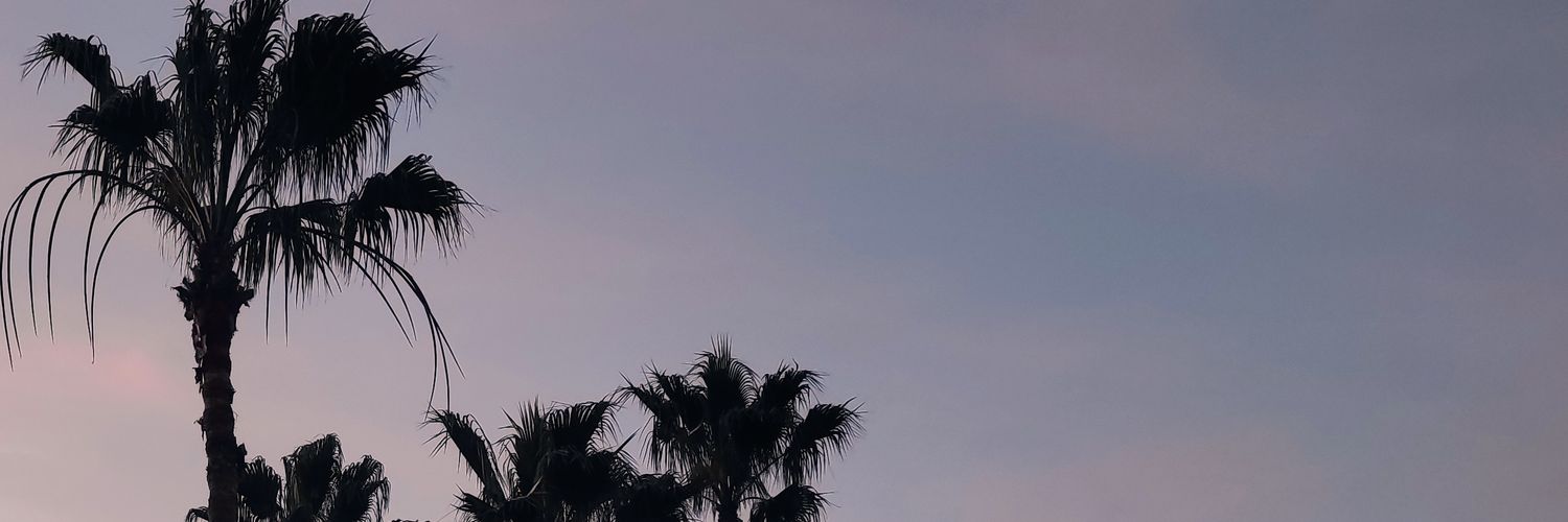 ThDarknessQueen's profile banner image