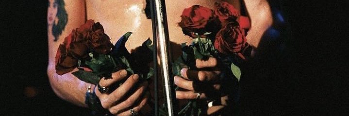 san banner