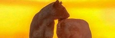 oburusam's profile banner image