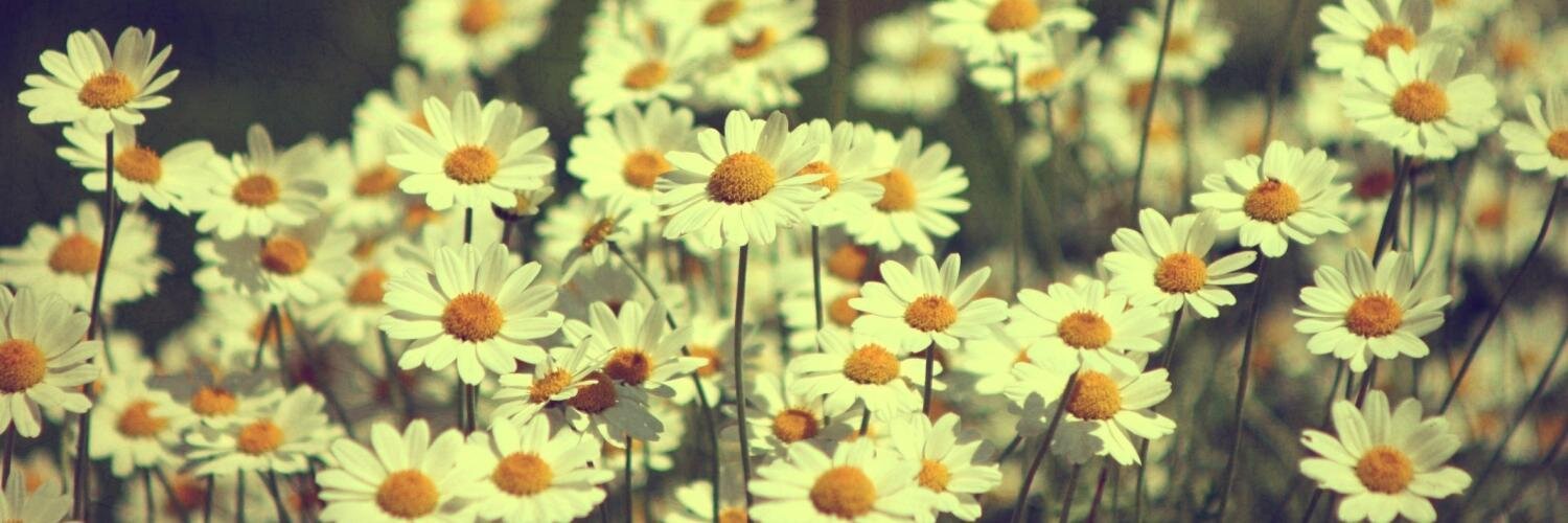 Cynthia_SuarezP's profile banner image