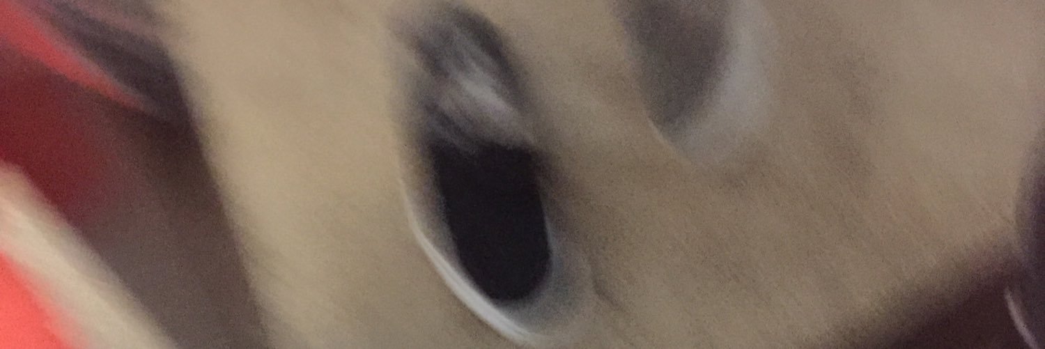 _vgera's profile banner image