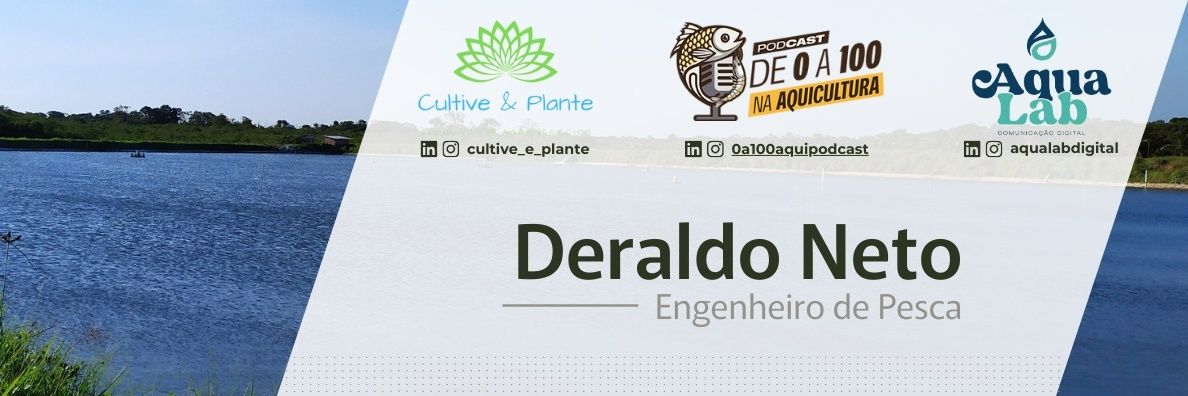 ddnetto's profile banner image
