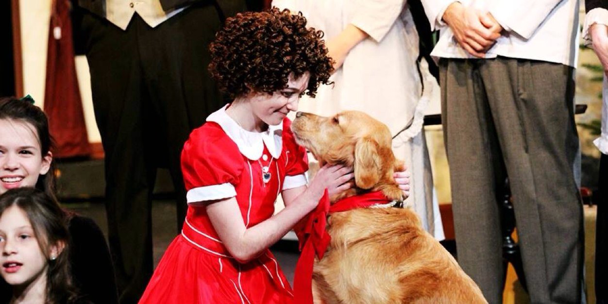 parkerpupdotcom's profile banner image