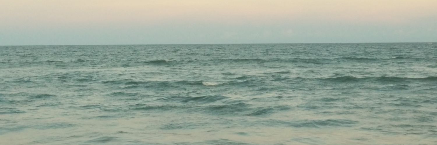 ShenazF's profile banner image