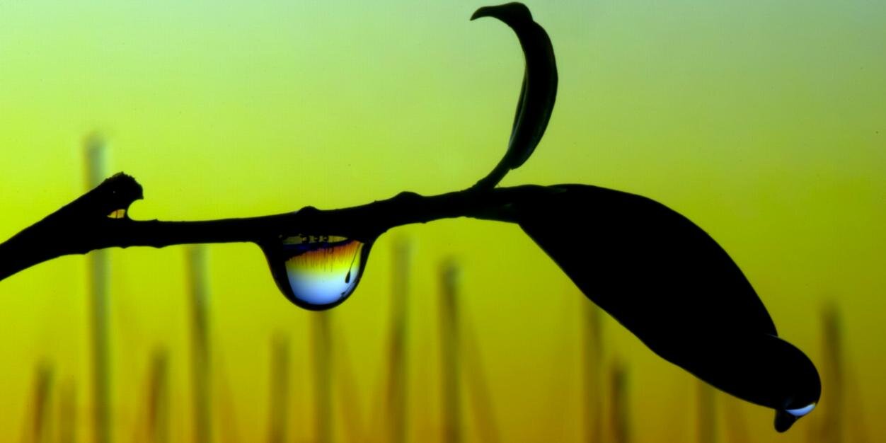 dellas73⭐⭐ banner