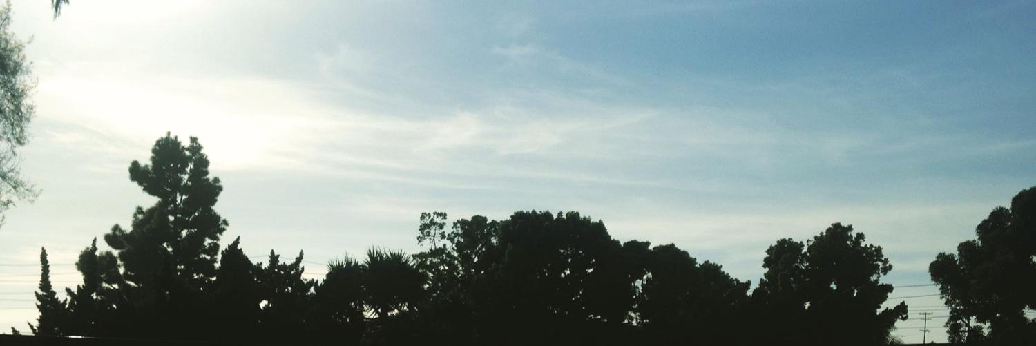 LifewithAlynn's profile banner image