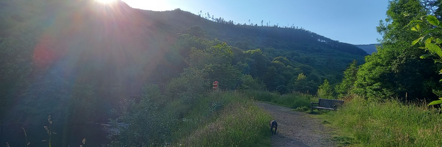 Can't be blank banner