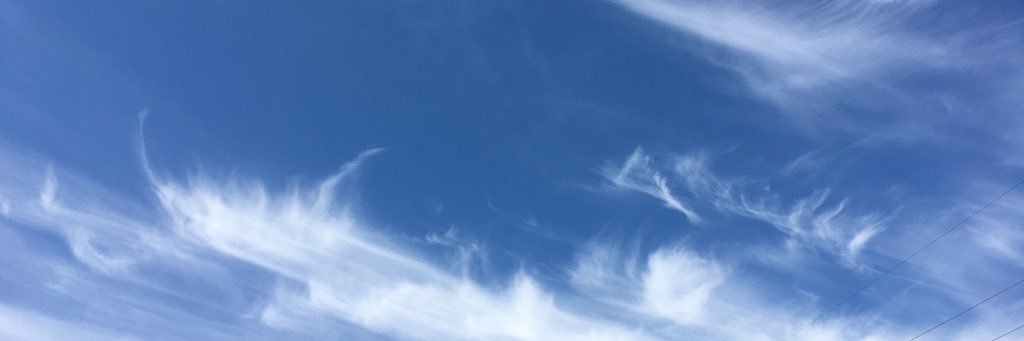 asachel_'s profile banner image