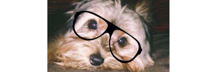 haley_walsh's profile banner image