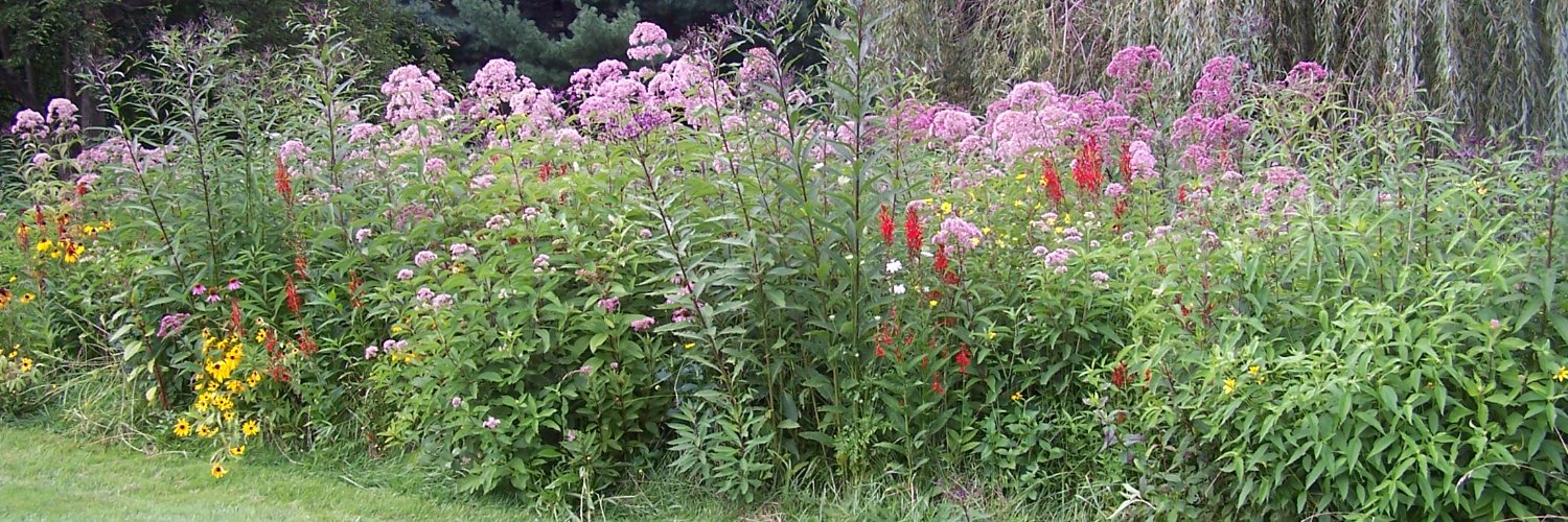 Yellow Springs Farm LLC banner