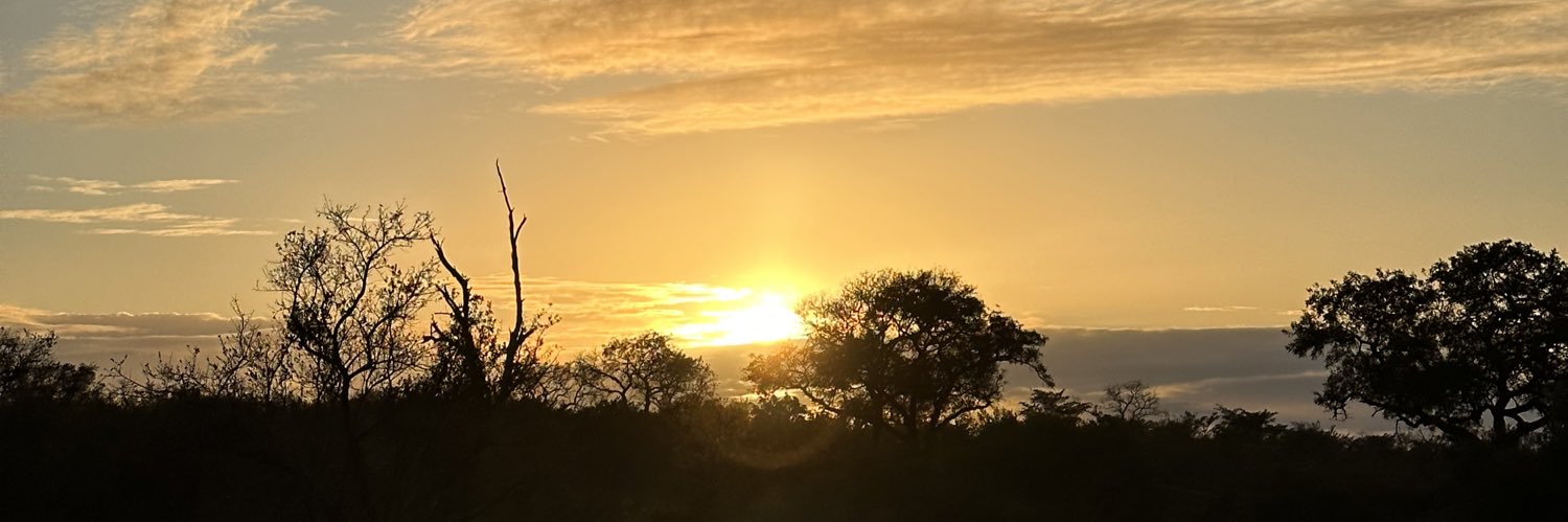 AshBal213's profile banner image