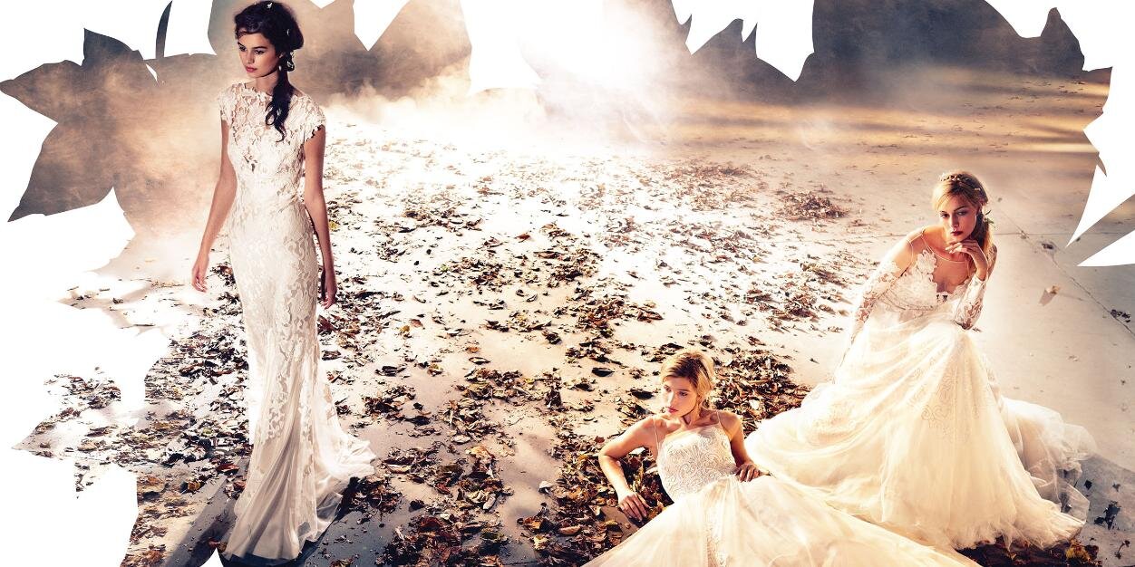 David Fielden banner