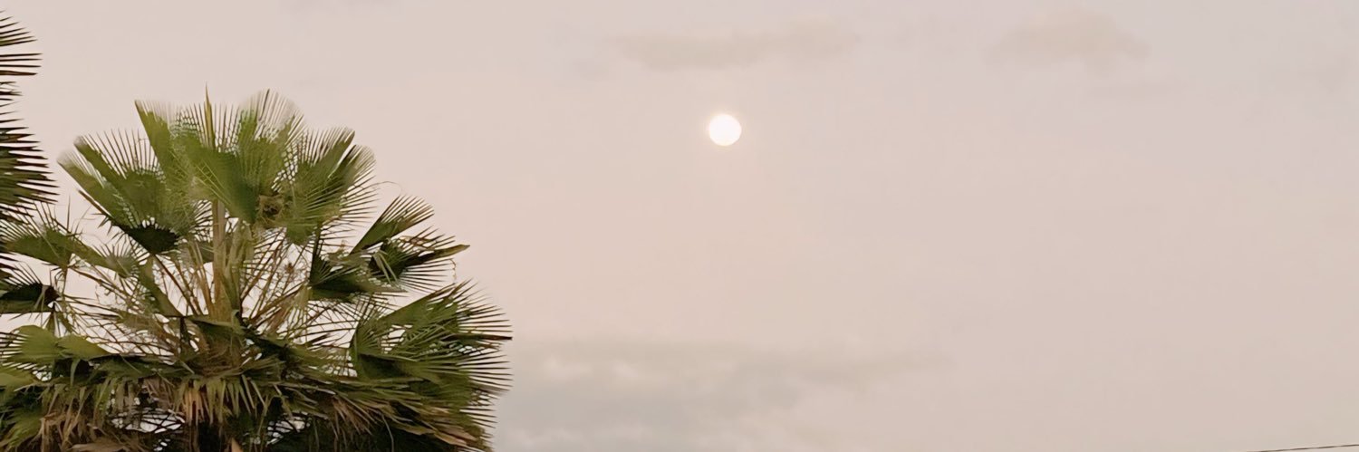 _robritt's profile banner image