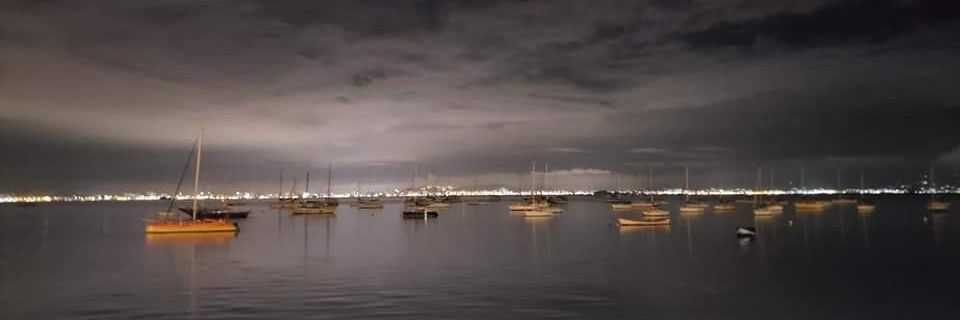 Rachel Kroener banner