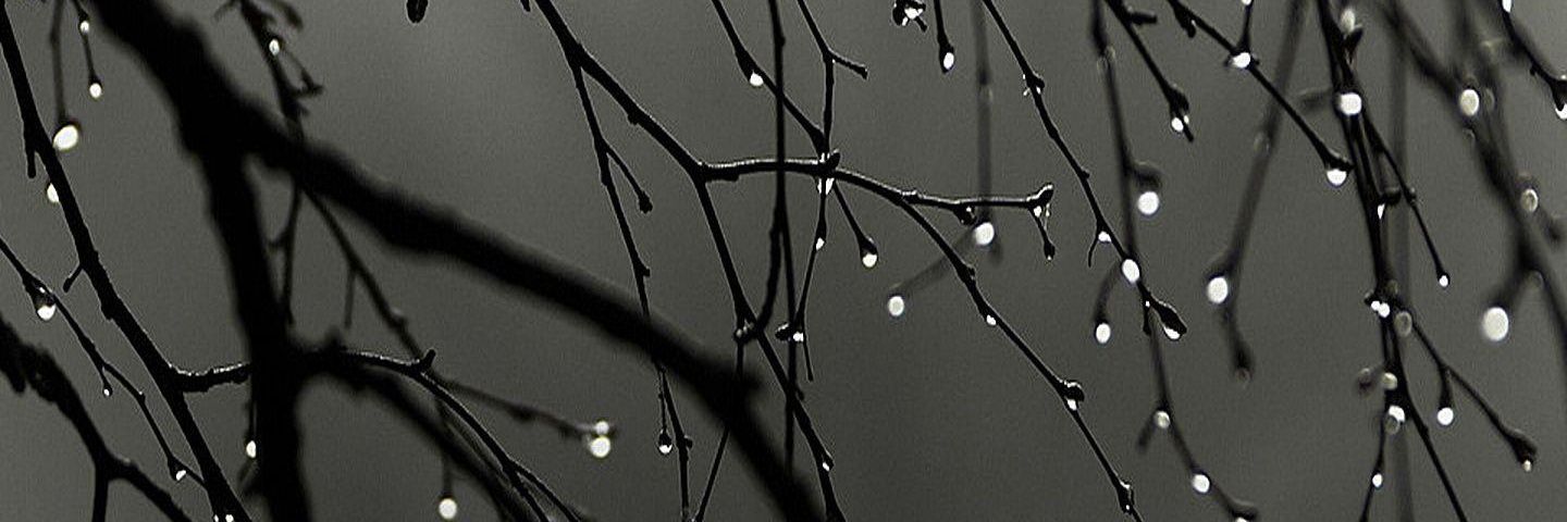 SomeGuyAndrew's profile banner image