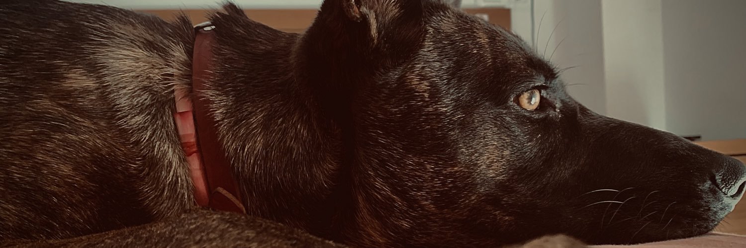 carmelomd's profile banner image