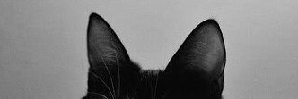 cnnoyedfollower's profile banner image
