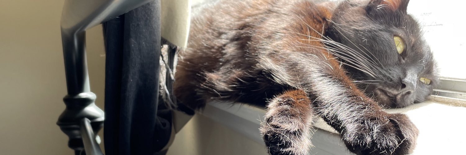 NerdyOldFan's profile banner image