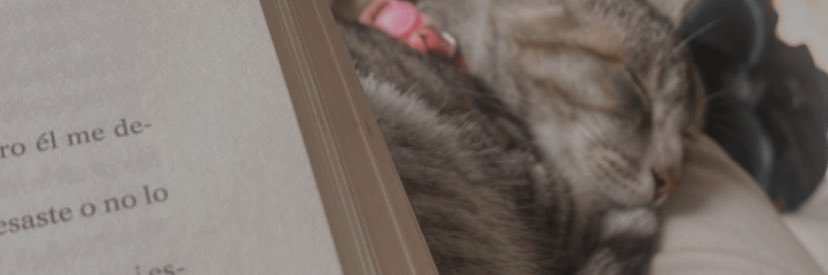 yannel_g's profile banner image