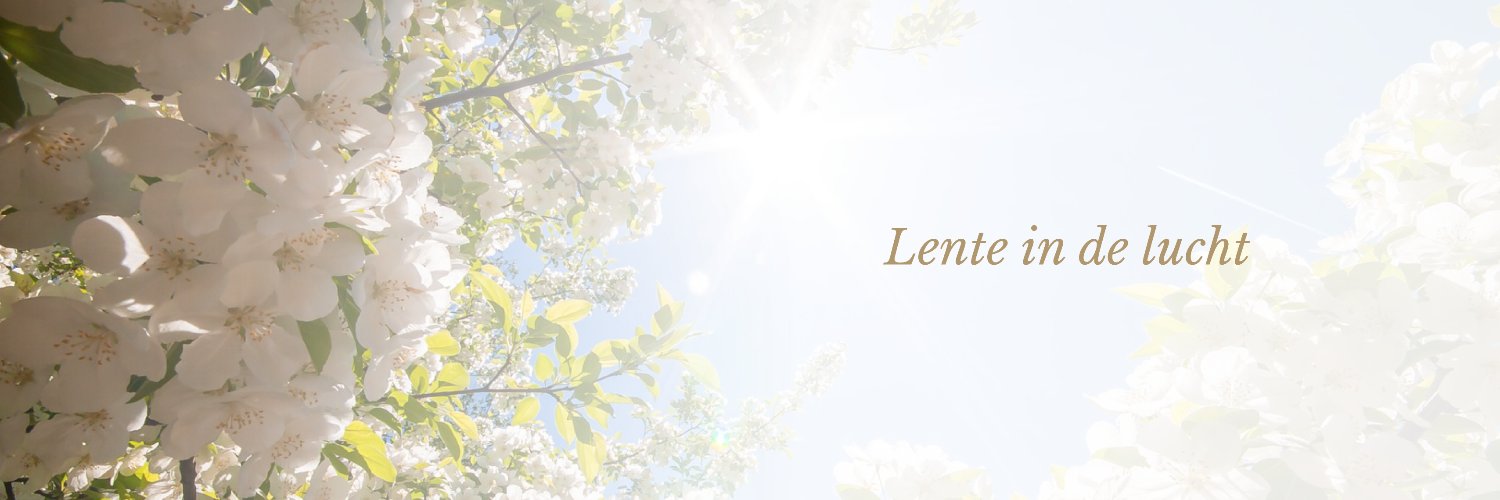 Sluizer1967's profile banner image
