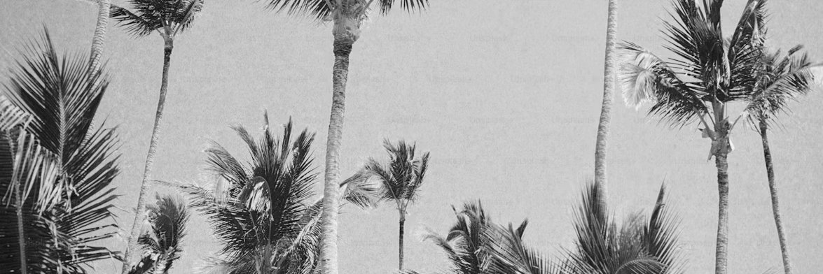 cominback4more's profile banner image