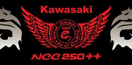 CBangunugroho's profile banner image