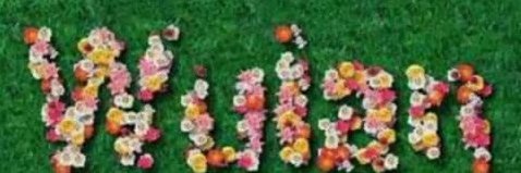 gitawulan17's profile banner image