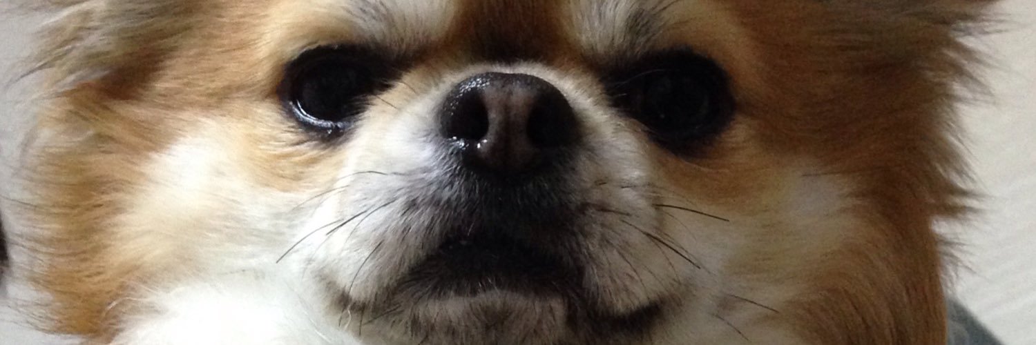 53 banner