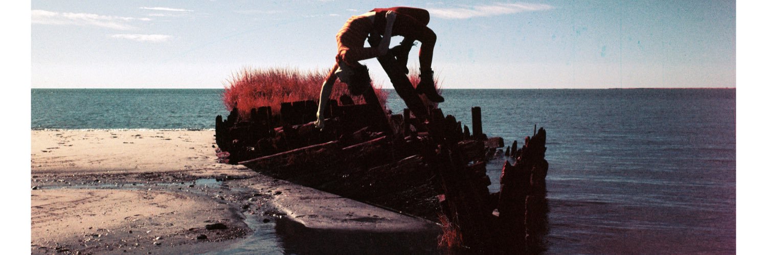 daddylonglegs banner