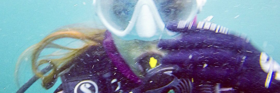 indahu's profile banner image