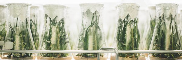 MaxFinder Profile Banner