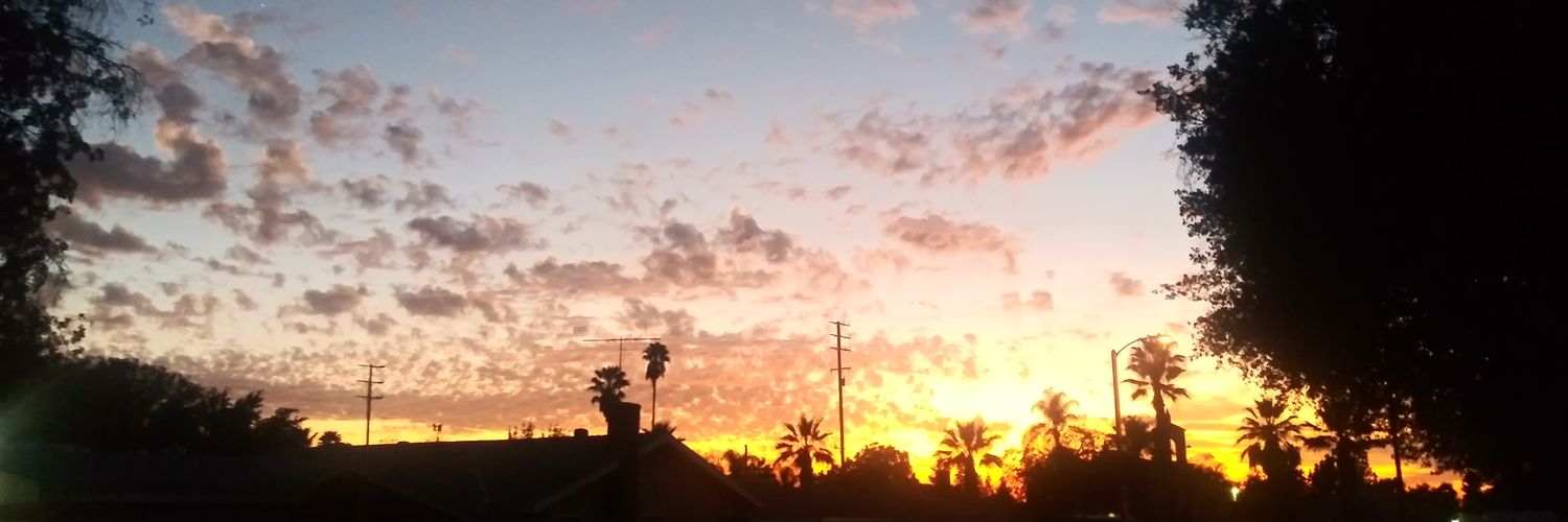 Lew_Dog_'s profile banner image