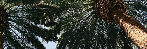 karlinaklava's profile banner image