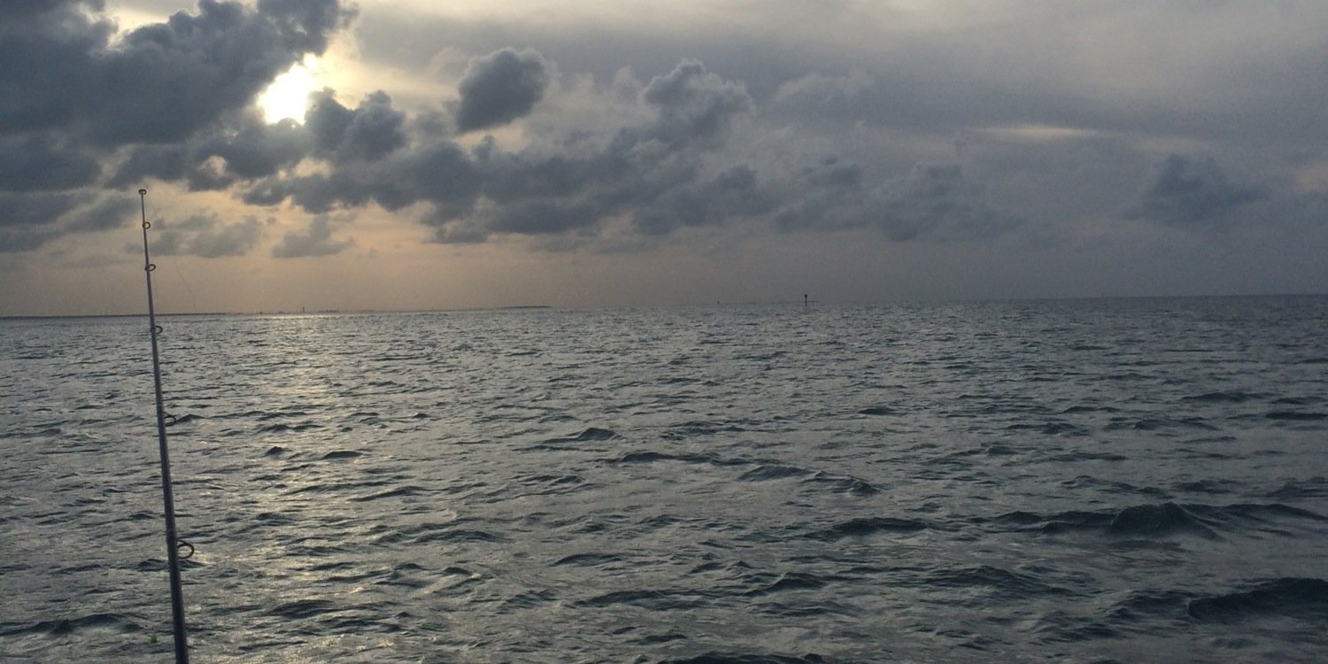 Pecard81's profile banner image