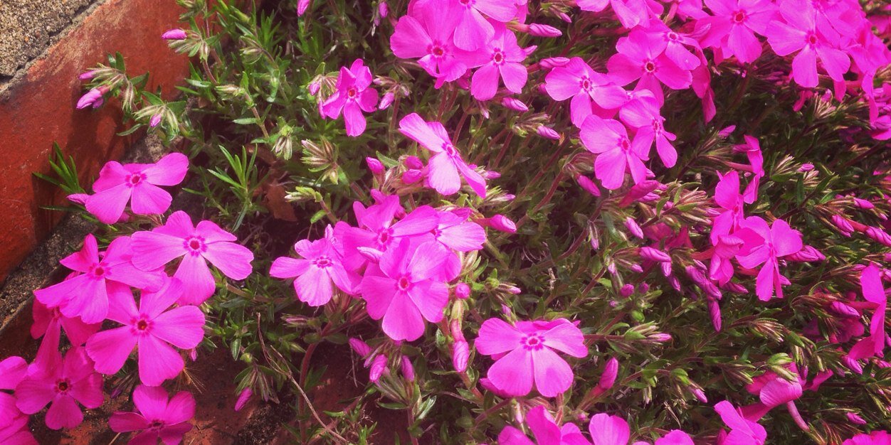 amykatalley's profile banner image