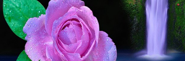 Frine1962's profile banner image