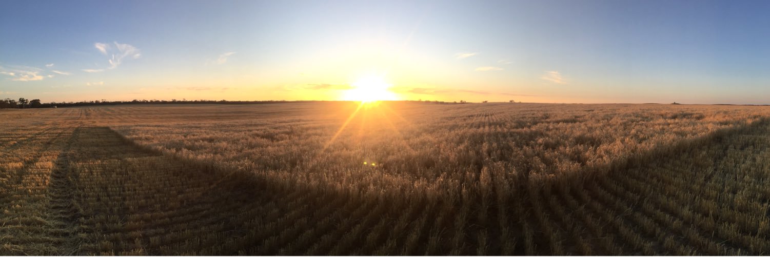horrie96's profile banner image