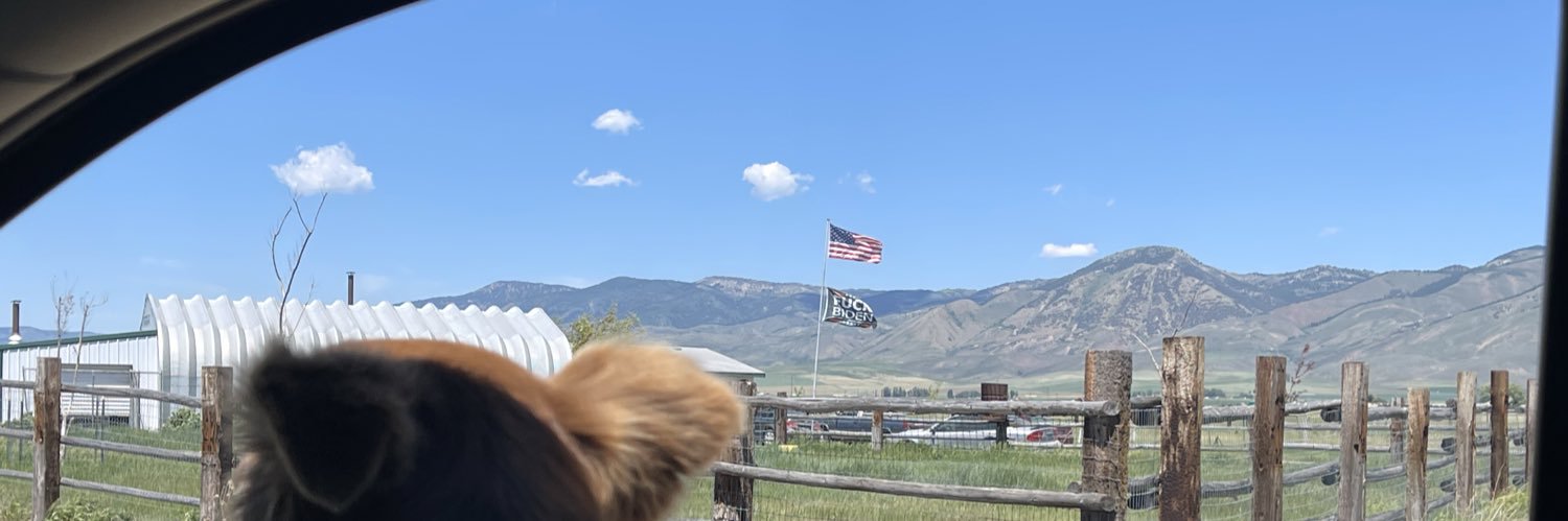 gearz17's profile banner image