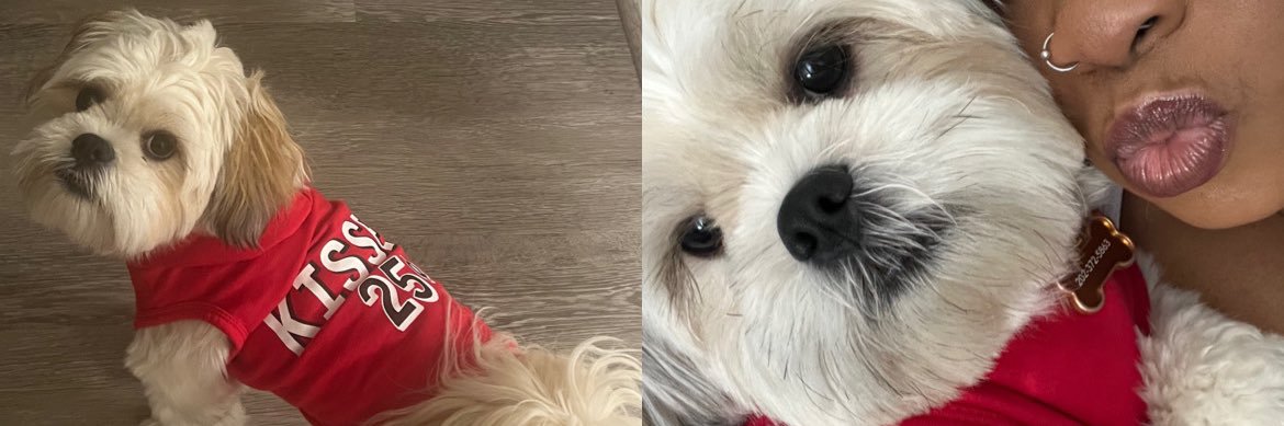 MsReneeLove's profile banner image