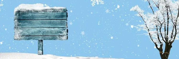 RachelSanada's profile banner image
