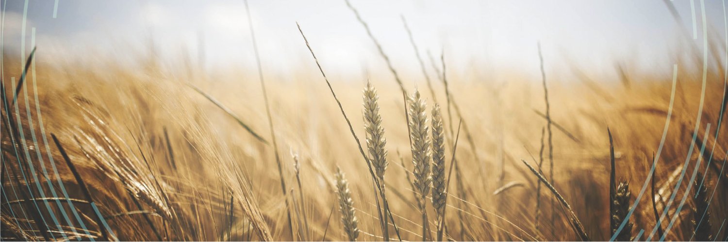 Texas A&M AgriLife Research banner