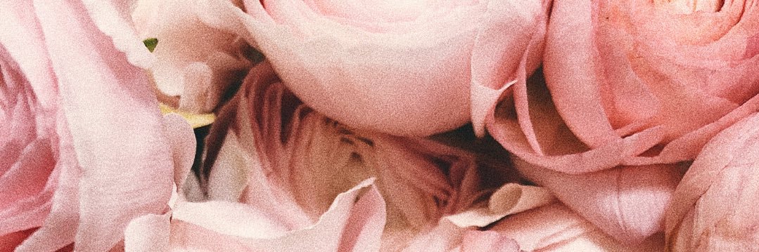 cherylhuggins's profile banner image