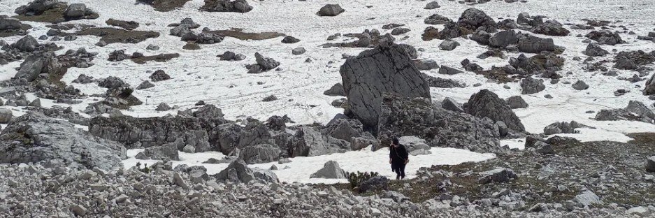 Brehbander's profile banner image