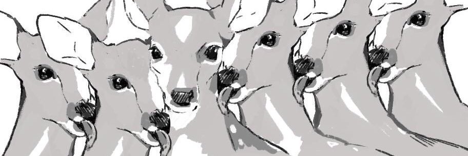 funny_owl__'s profile banner image