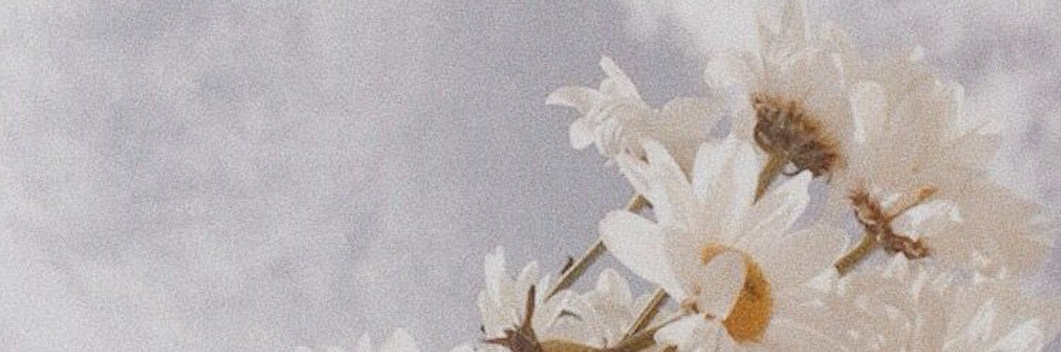 niallteacream's profile banner image