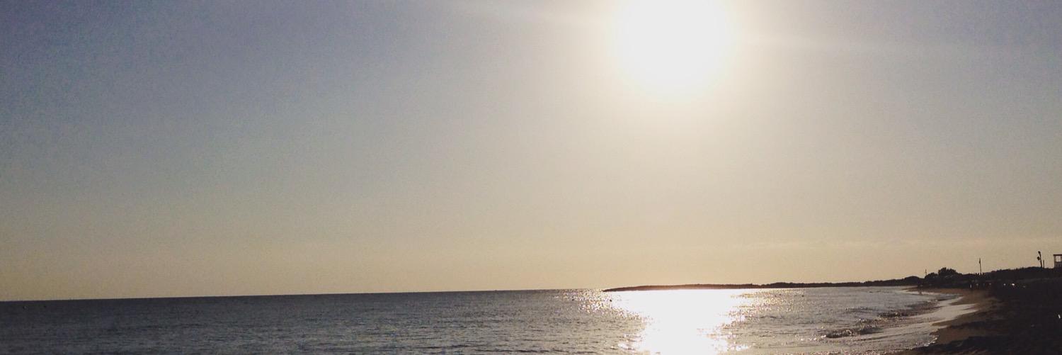 paolarusso4's profile banner image