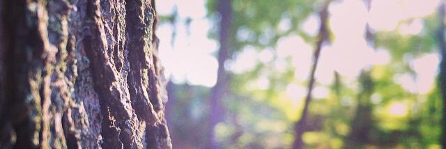 LandonSanders14's profile banner image