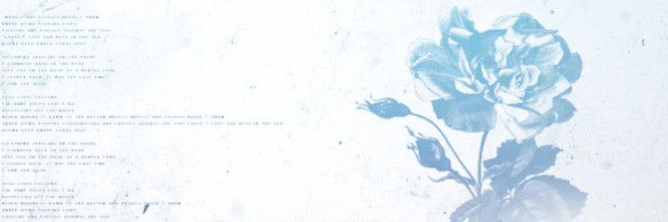sevyy banner