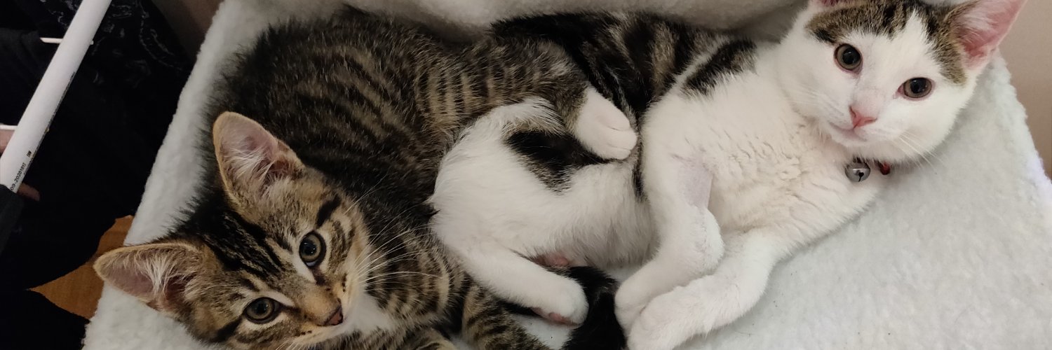 b_t_cooper's profile banner image