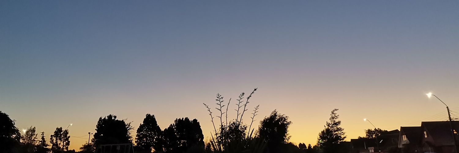 Lostatforest_'s profile banner image